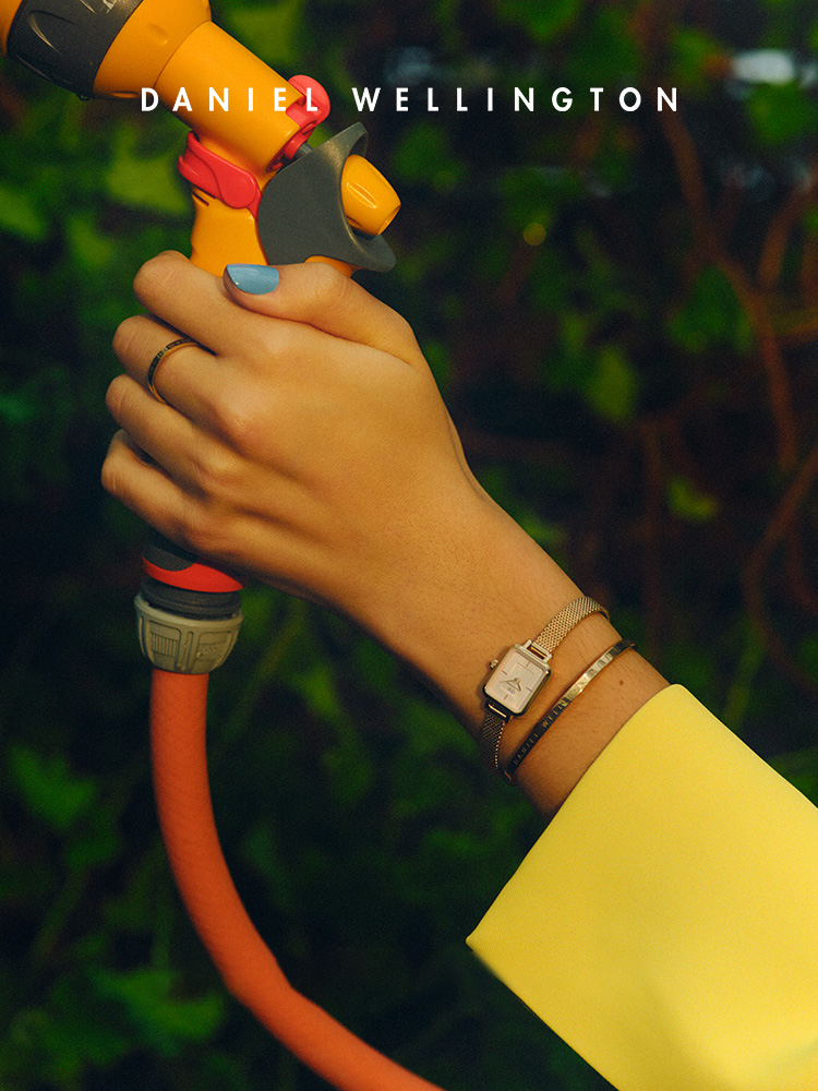 Daniel Wellington Quadro Mini  - Daniel Wellington Watches & Jewelry Online Store 评论和价格