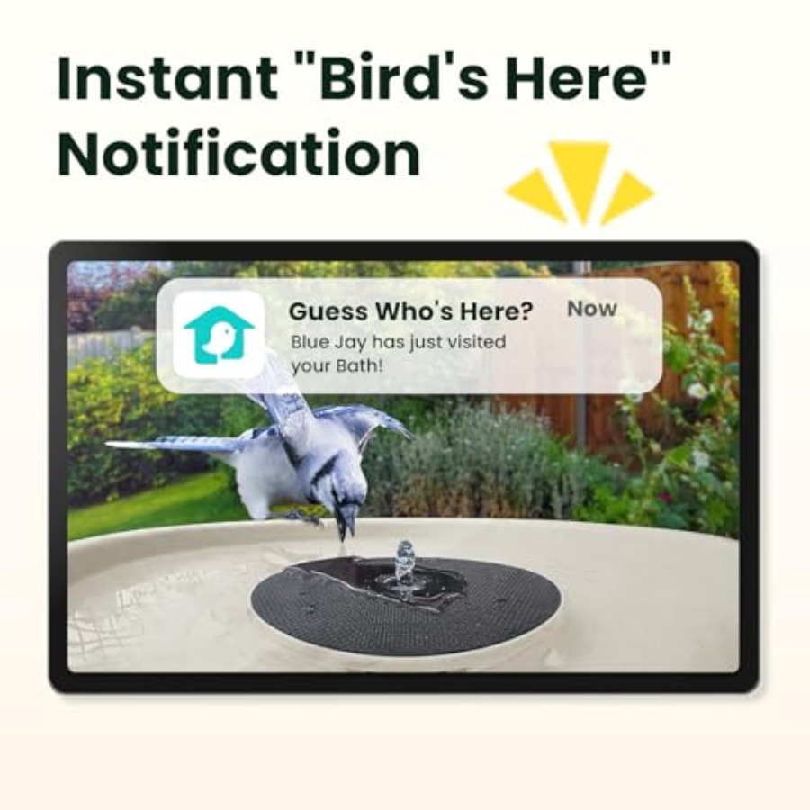 Bird Watching Smart Bird Bath  - Watches & Jewelry Repair Center 评论和价格