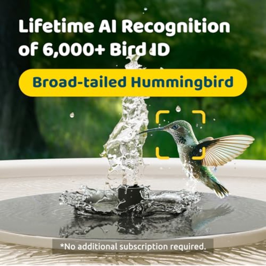 Bird Watching Smart Bird Bath  - Watches & Jewelry Repair Center 评论和价格
