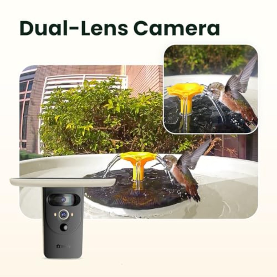 Bird Watching Smart Bird Bath  - Watches & Jewelry Repair Center 评论和价格