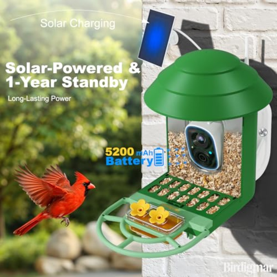 Bird Feeder with Camera for Ou - Watches & Jewelry Repair Center 评论和价格