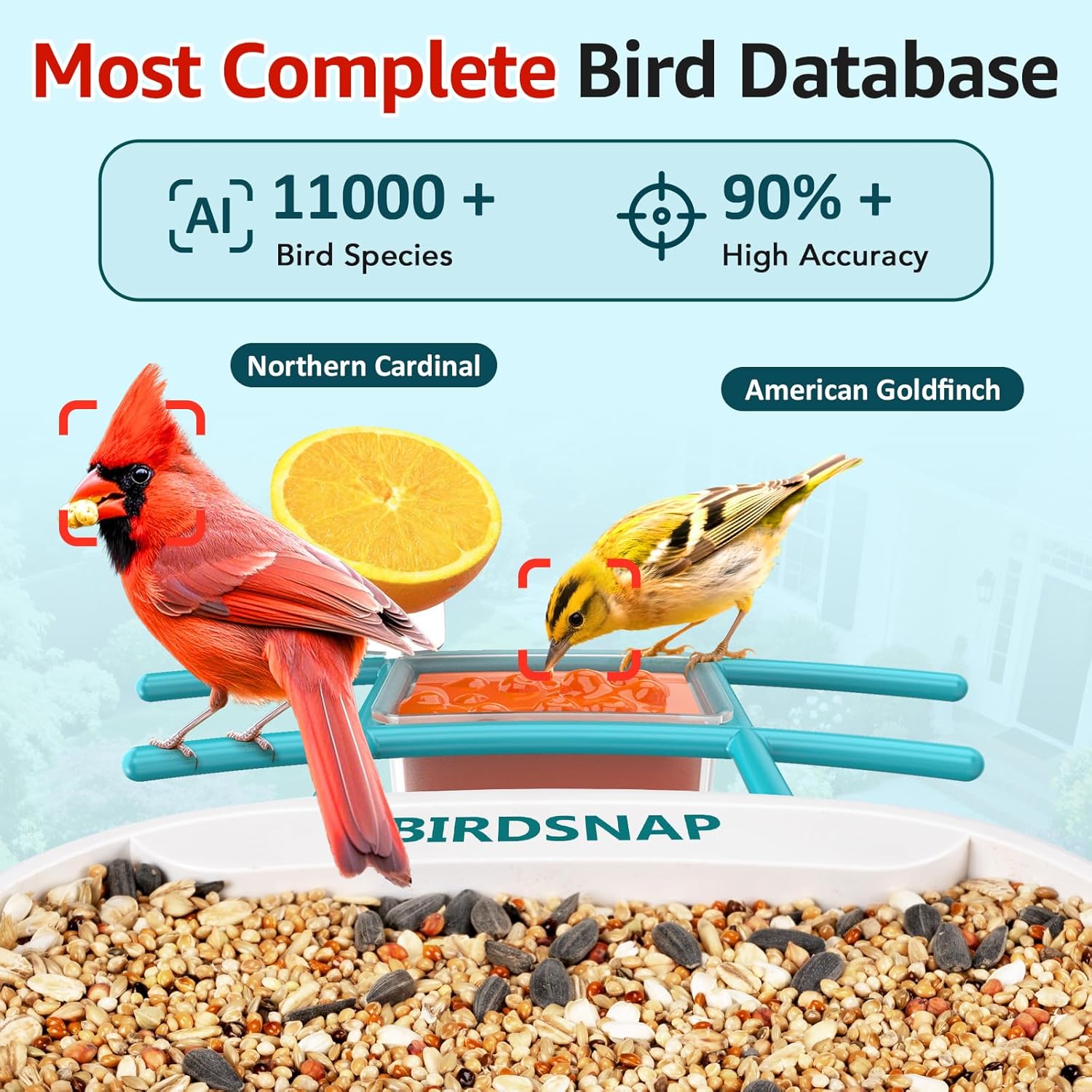 2K HD Bird Feeder Camera with  - Watches & Jewelry Repair Center 评论和价格