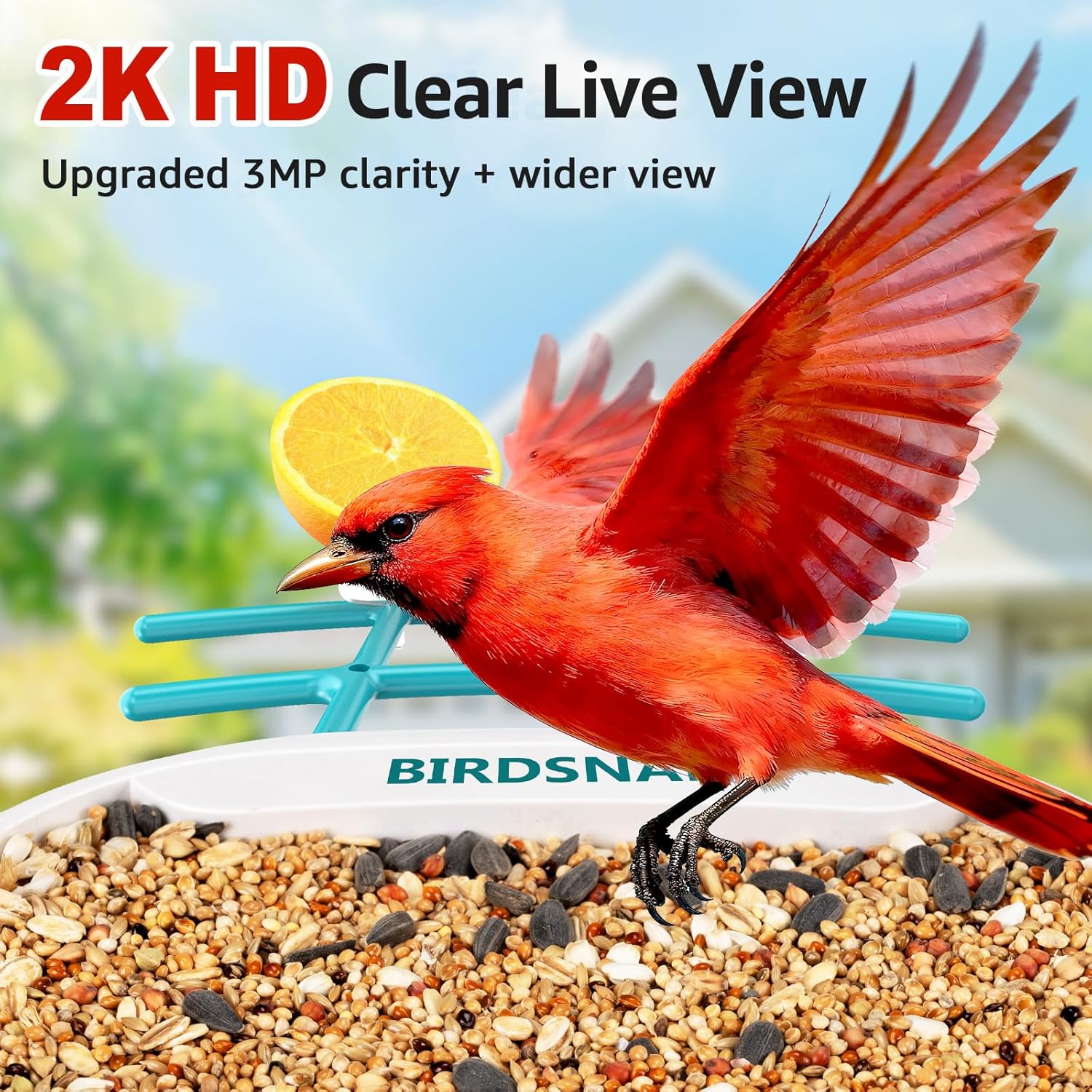 2K HD Bird Feeder Camera with  - Watches & Jewelry Repair Center 评论和价格
